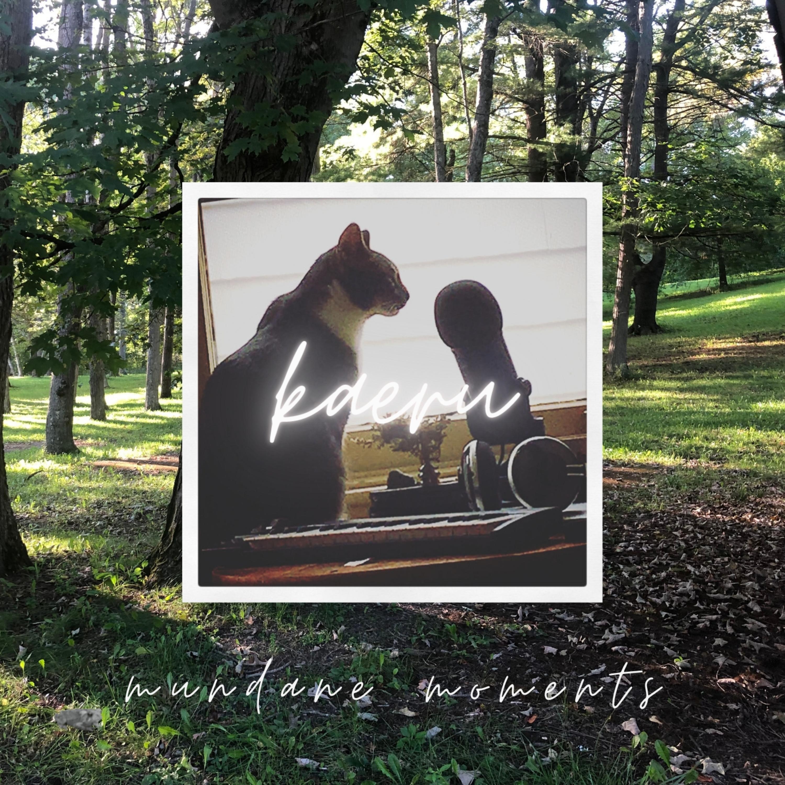 kaeru - cold autumn breeze