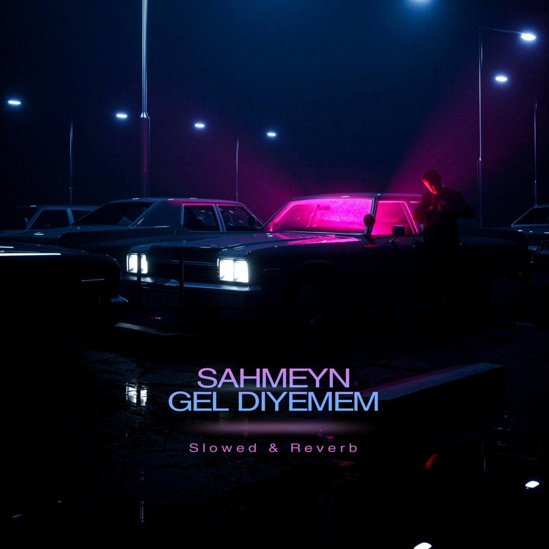 Gel Diyemem (Slowed + Reverb)