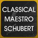 Classical Maestro Schubert专辑