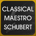 Classical Maestro Schubert专辑