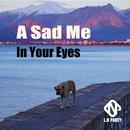 A Sad Me In Your Eyes