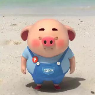 一只阿正「缓解学习压力」