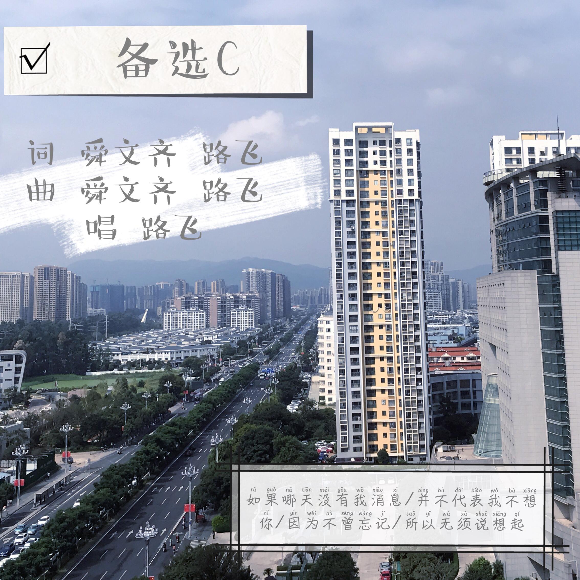 备选C