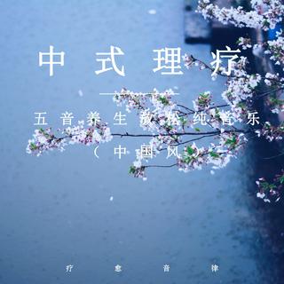 中式理疗 静心五音养生（肝心脾肺肾）冥想