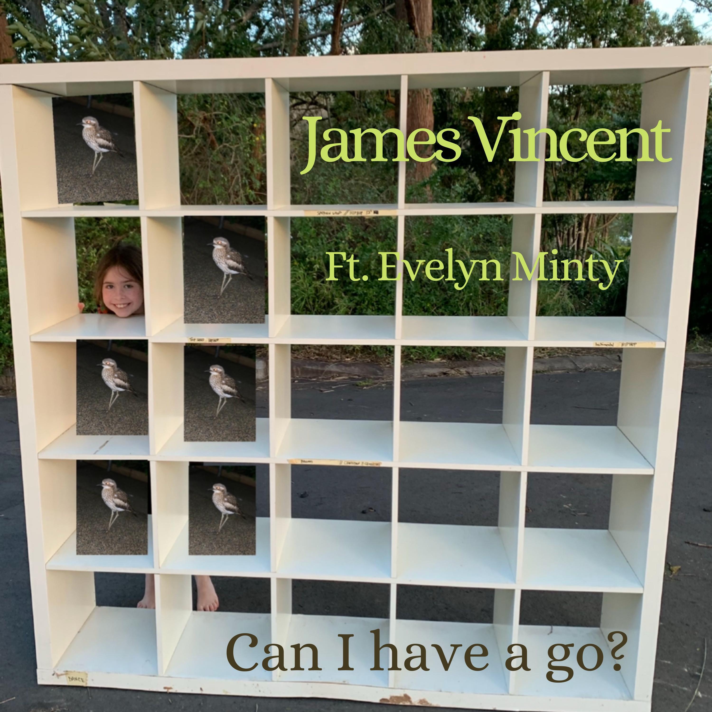 James Vincent - Can I have a go?