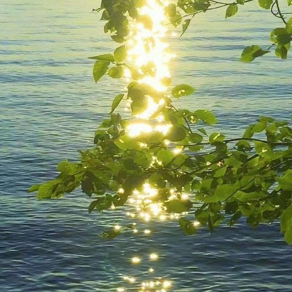 春日暖阳 | 安静的午后慵懒且惬意～