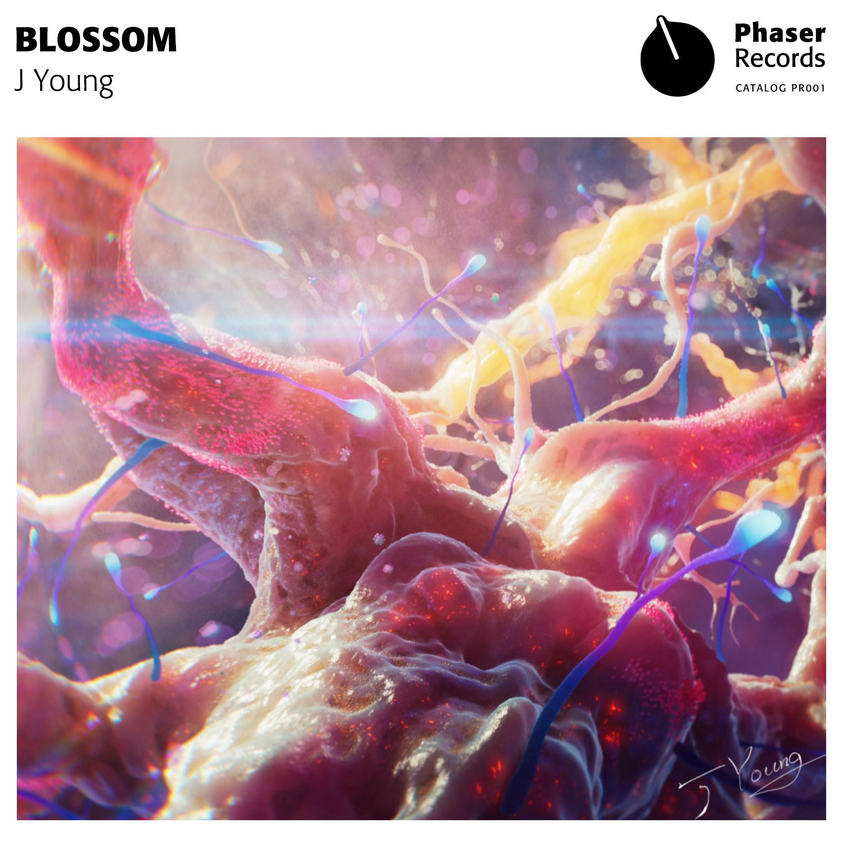 Blossom专辑