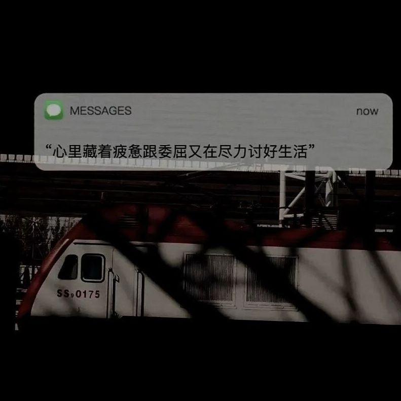 我期待的不是雪而是有你的冬天