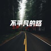 不平凡的路