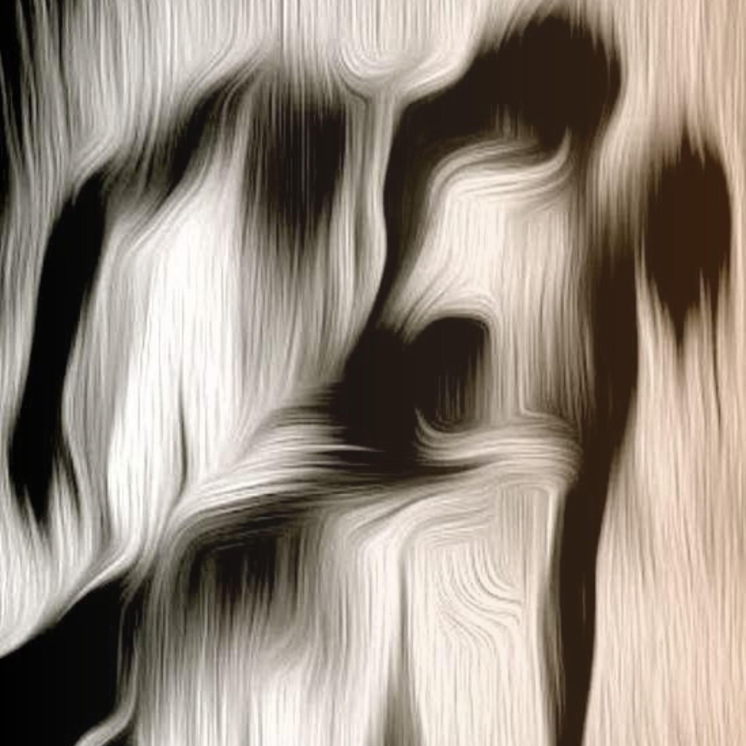 Under The Starlit Sky