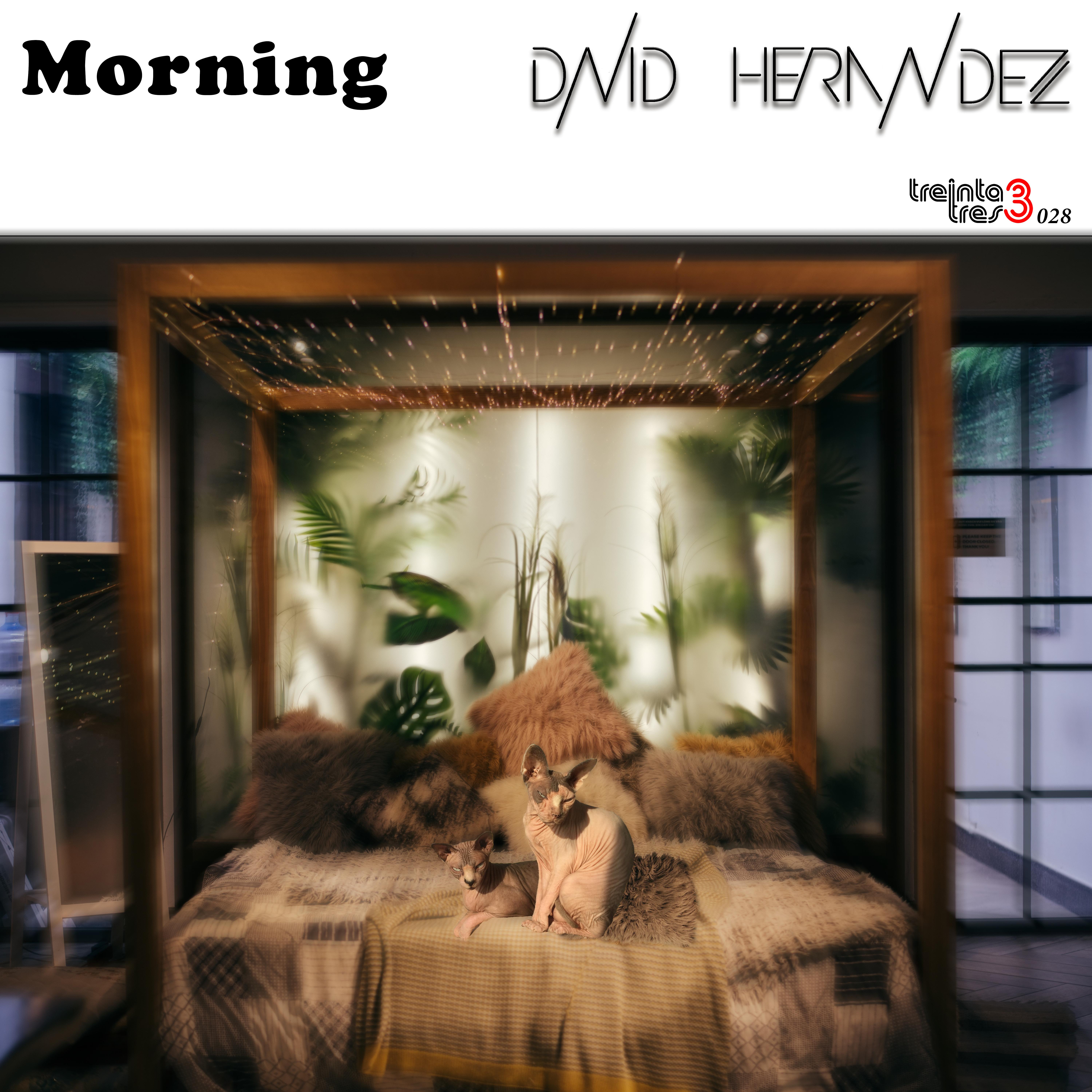 Morning