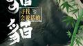 貊貊专辑