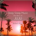 Deep Sleep Music - The Best of Juju: Relaxing Music Box Covers专辑