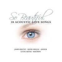 You're Beautiful - James Blunt (Z karaoke) 带和声伴奏