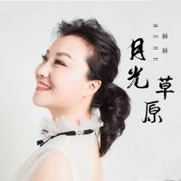 月光洒在草原上 (原版立体声)