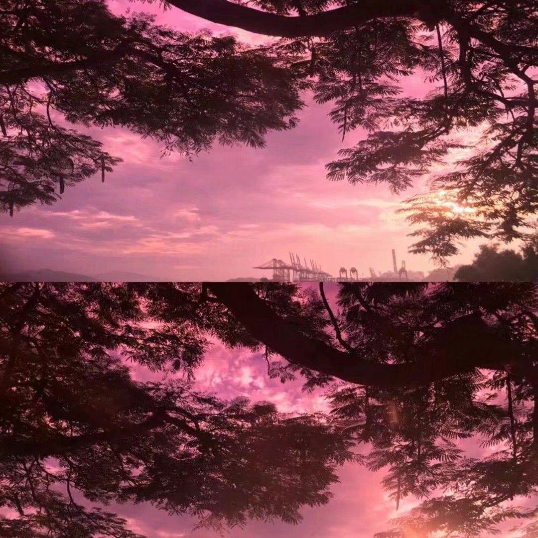 混剪／燃／踩点 / 剧情／转场