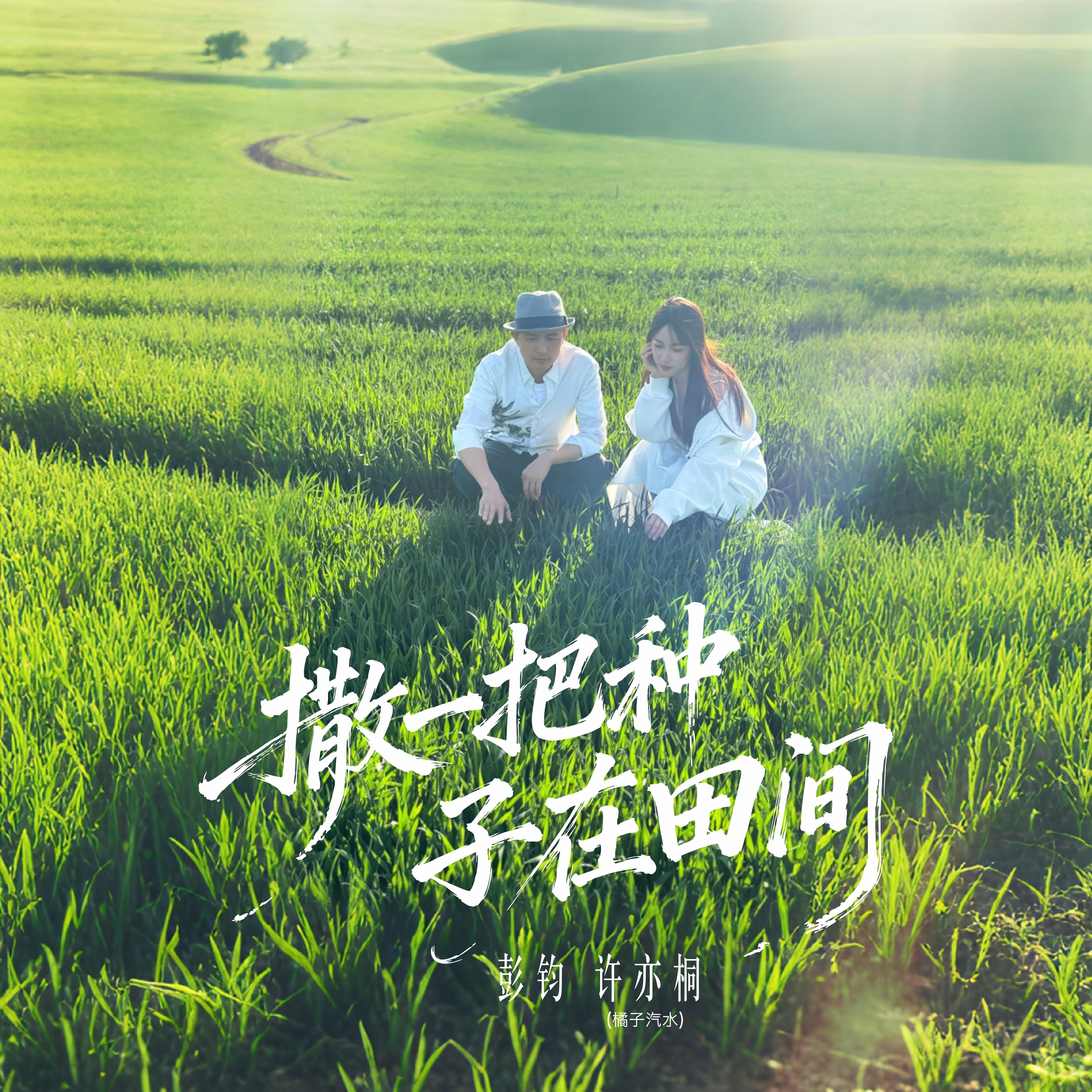 撒一把种子在田间