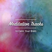12 Zen Noises for Enlightenment