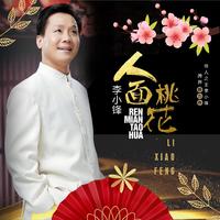 人面桃花 (zypdeziwoLD大碟自提压制)