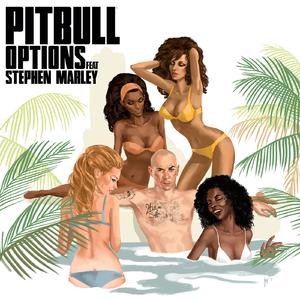 Pitbull、Stephen Marley - Options
