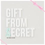 Gift From Secret