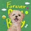 it's - Forever My Baby