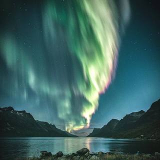 Chill Trap · 你并不了解的神级电子