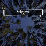 #5 Tranquil Tracks for Meditation and Sleep专辑