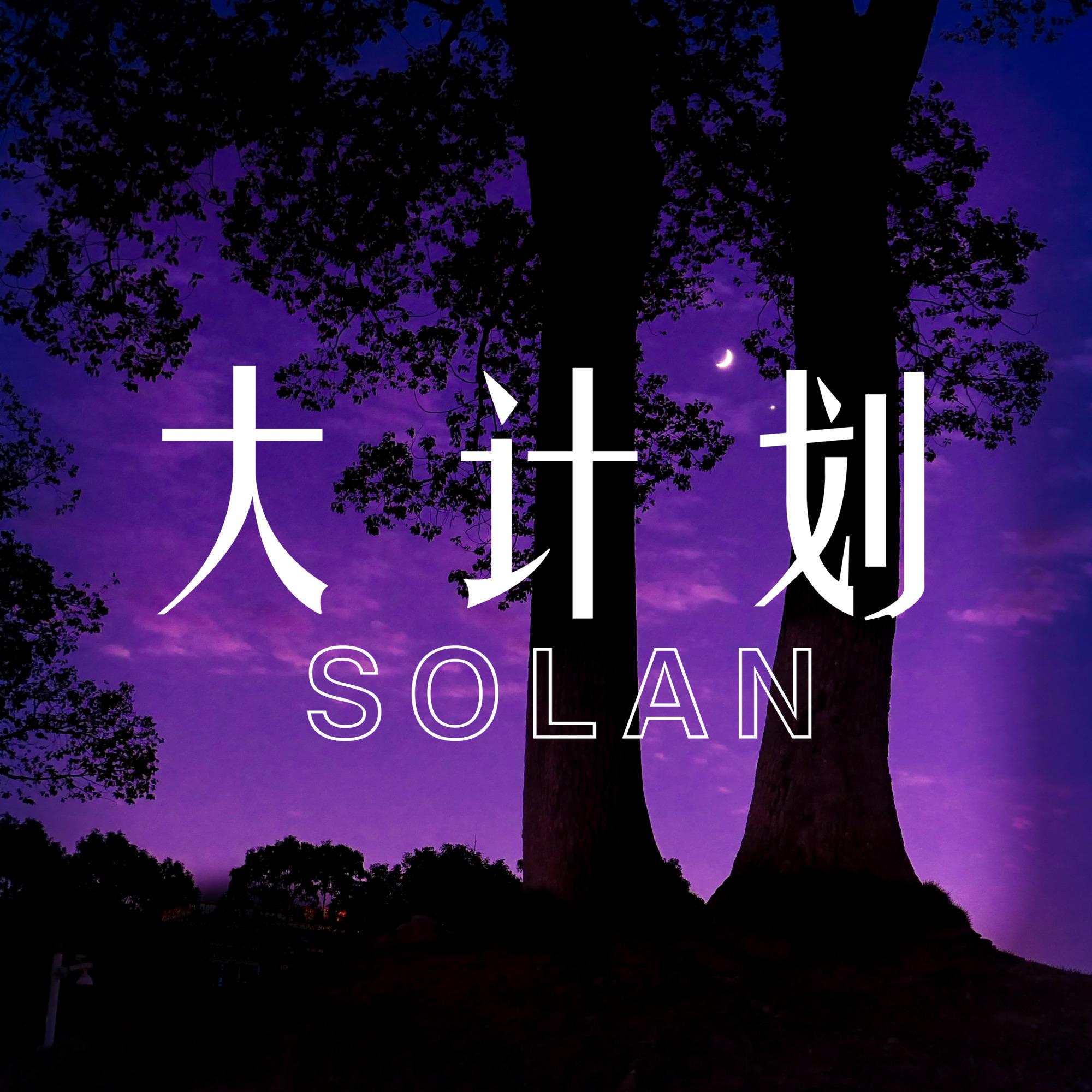 大计划