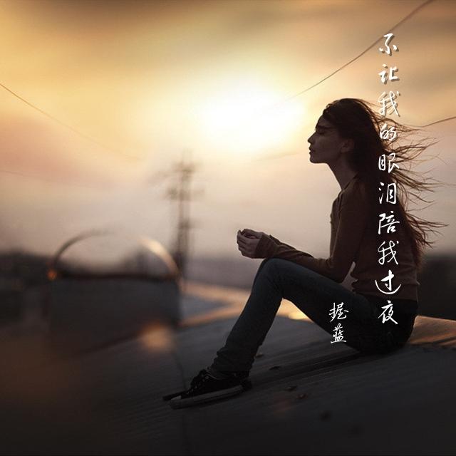 不让我的眼泪陪我过夜 【吉他版】