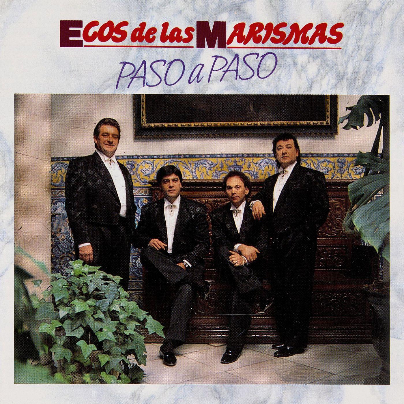 Paso a paso