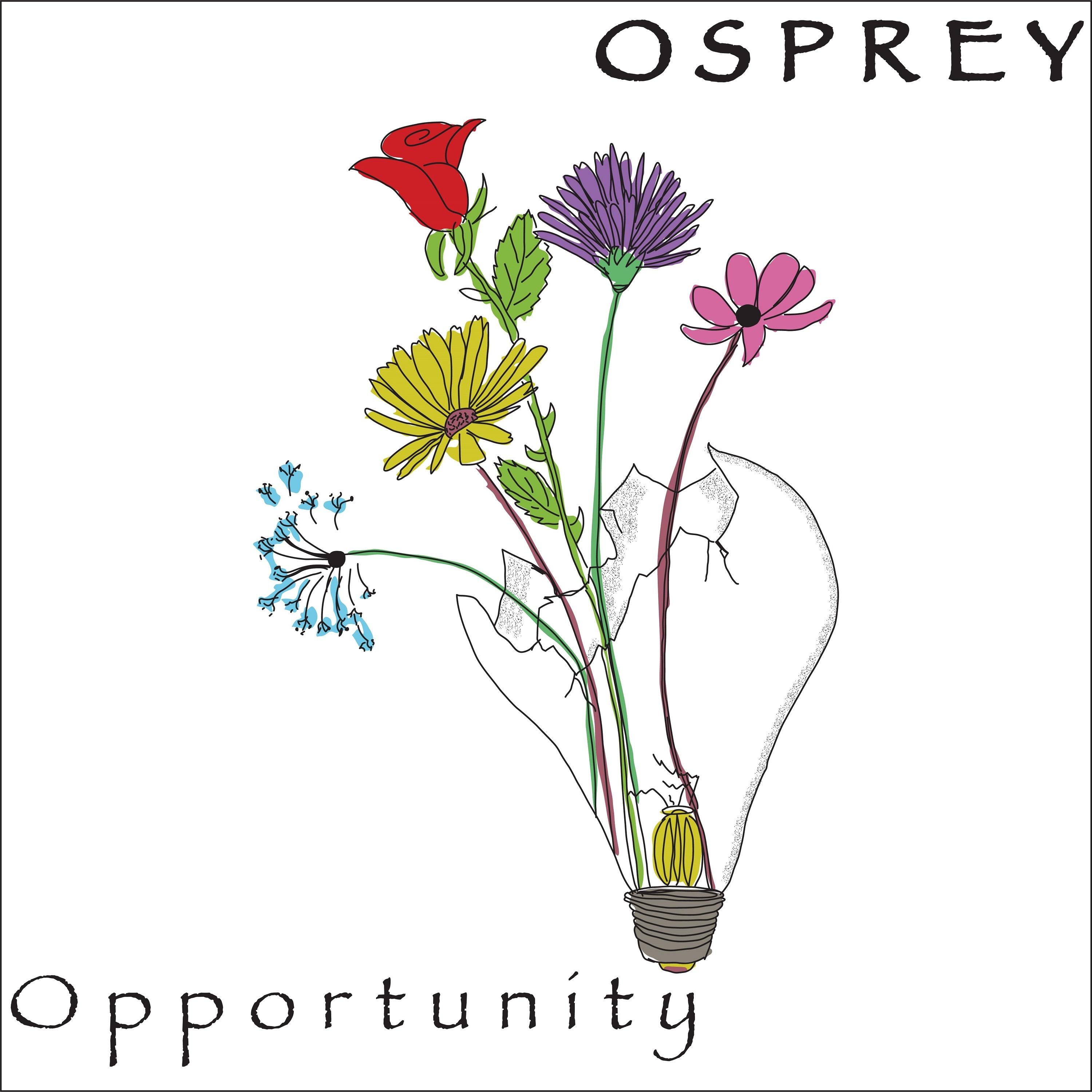 Opportunity