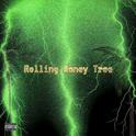 Money Tree专辑