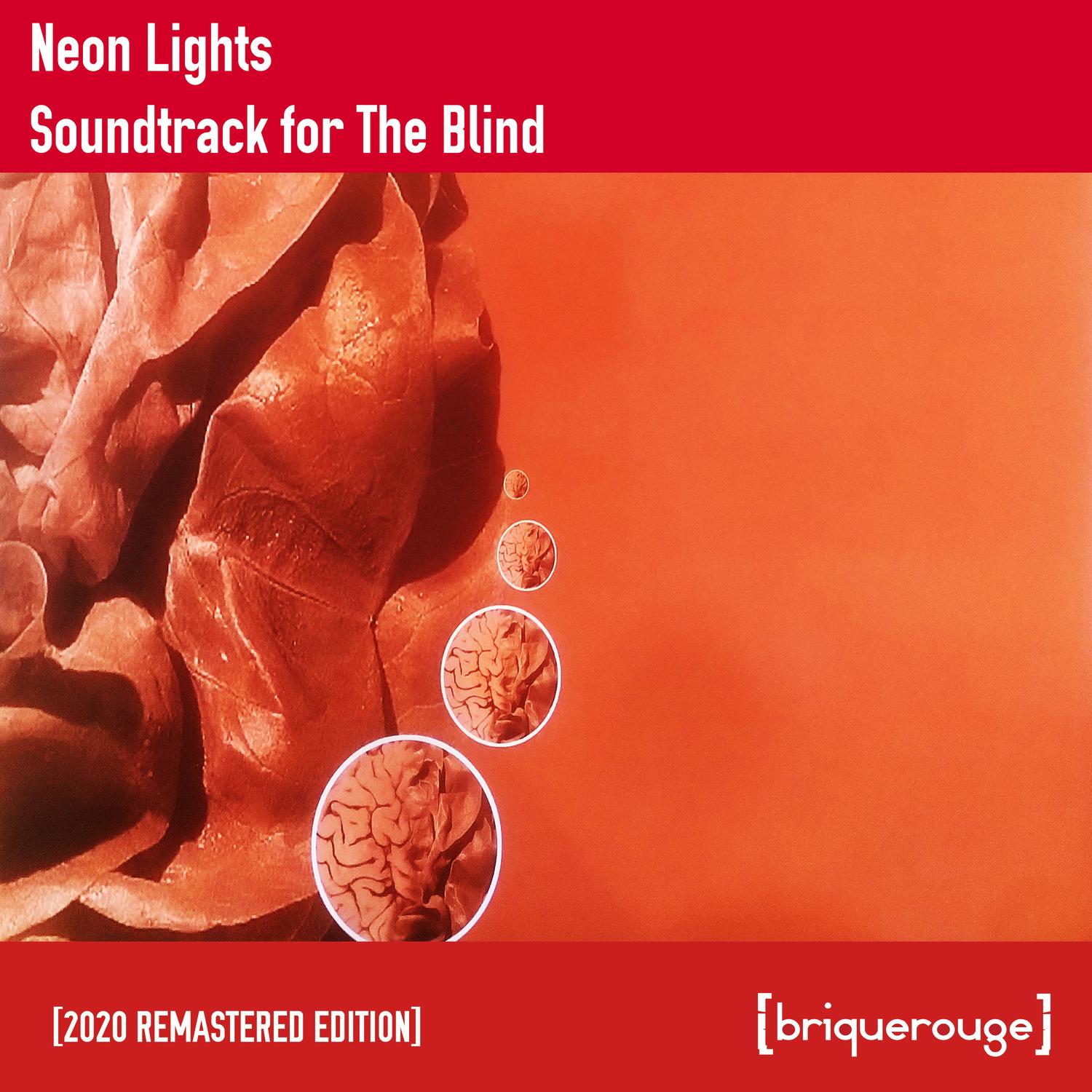 Soundtrack for the Blind (2020 Remastered Edition)