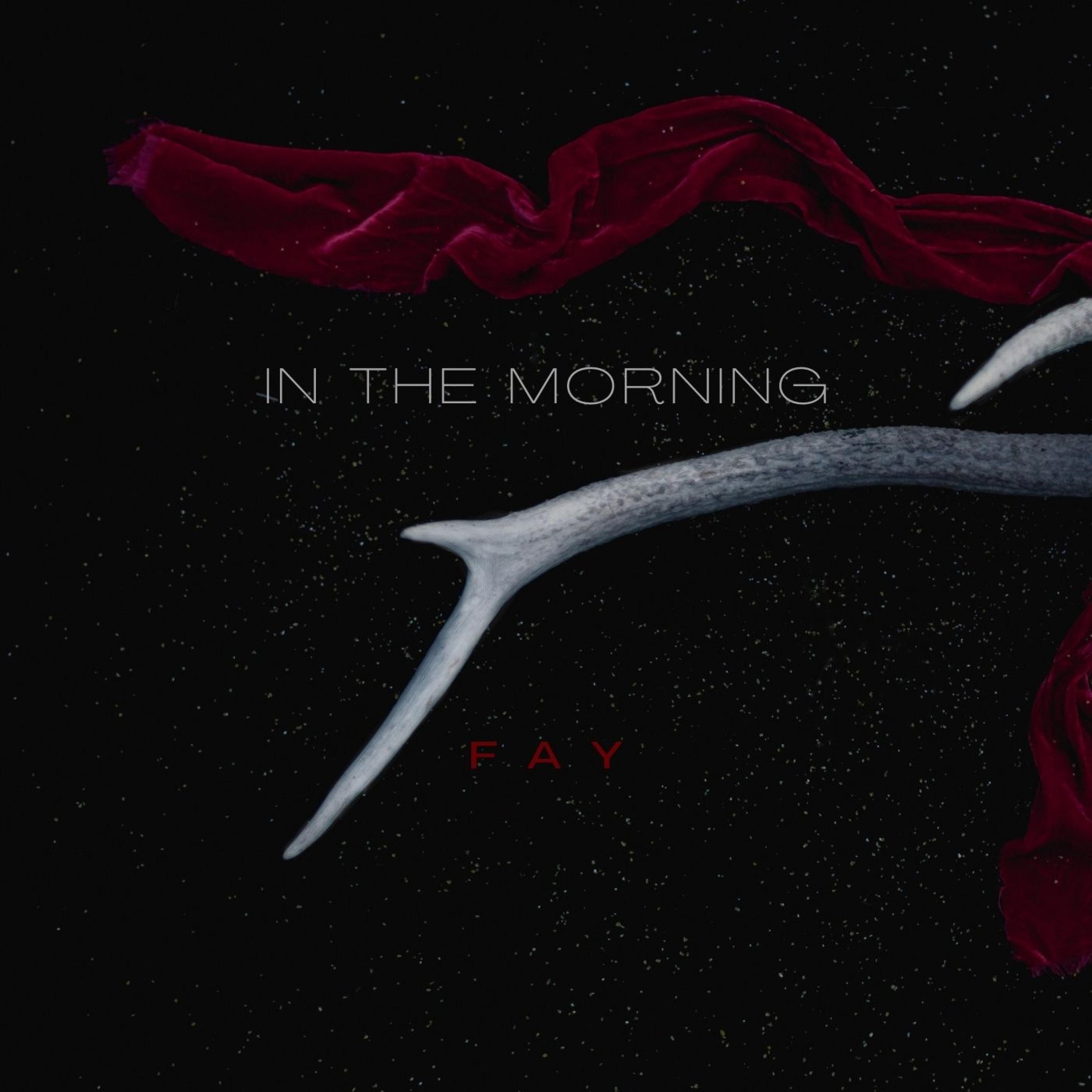 In The Morning