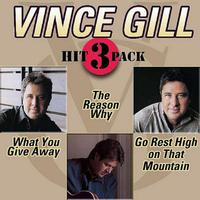 Vince Gill - What You Give Away (karaoke)