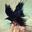 Donn_Zhang