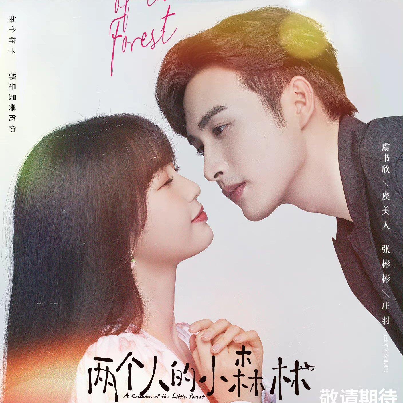 超好看的电视剧 两个人的小森林 请君♡