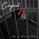 囚 Caged专辑