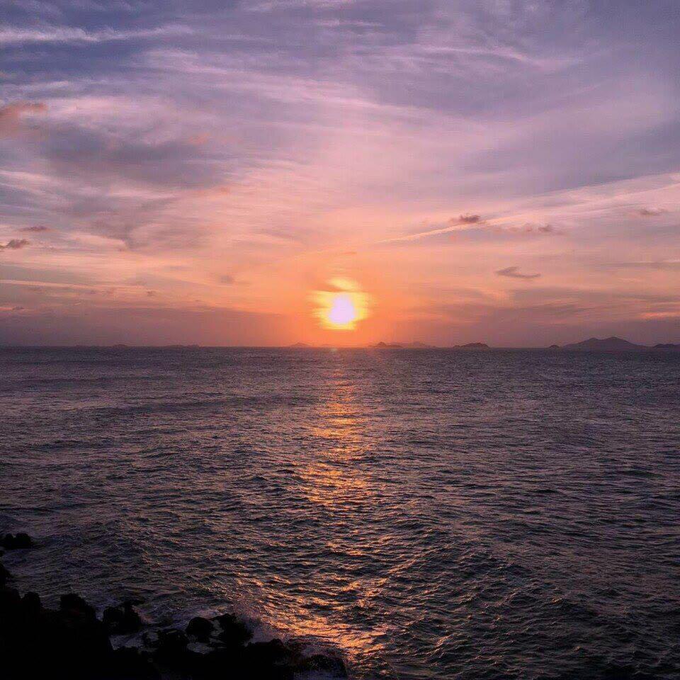 樱花树下的约定