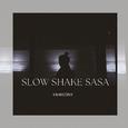 Slow Shake Sasa (Radio Edit)