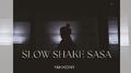 Slow Shake Sasa (Radio Edit)专辑