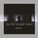 Slow Shake Sasa (Radio Edit)专辑