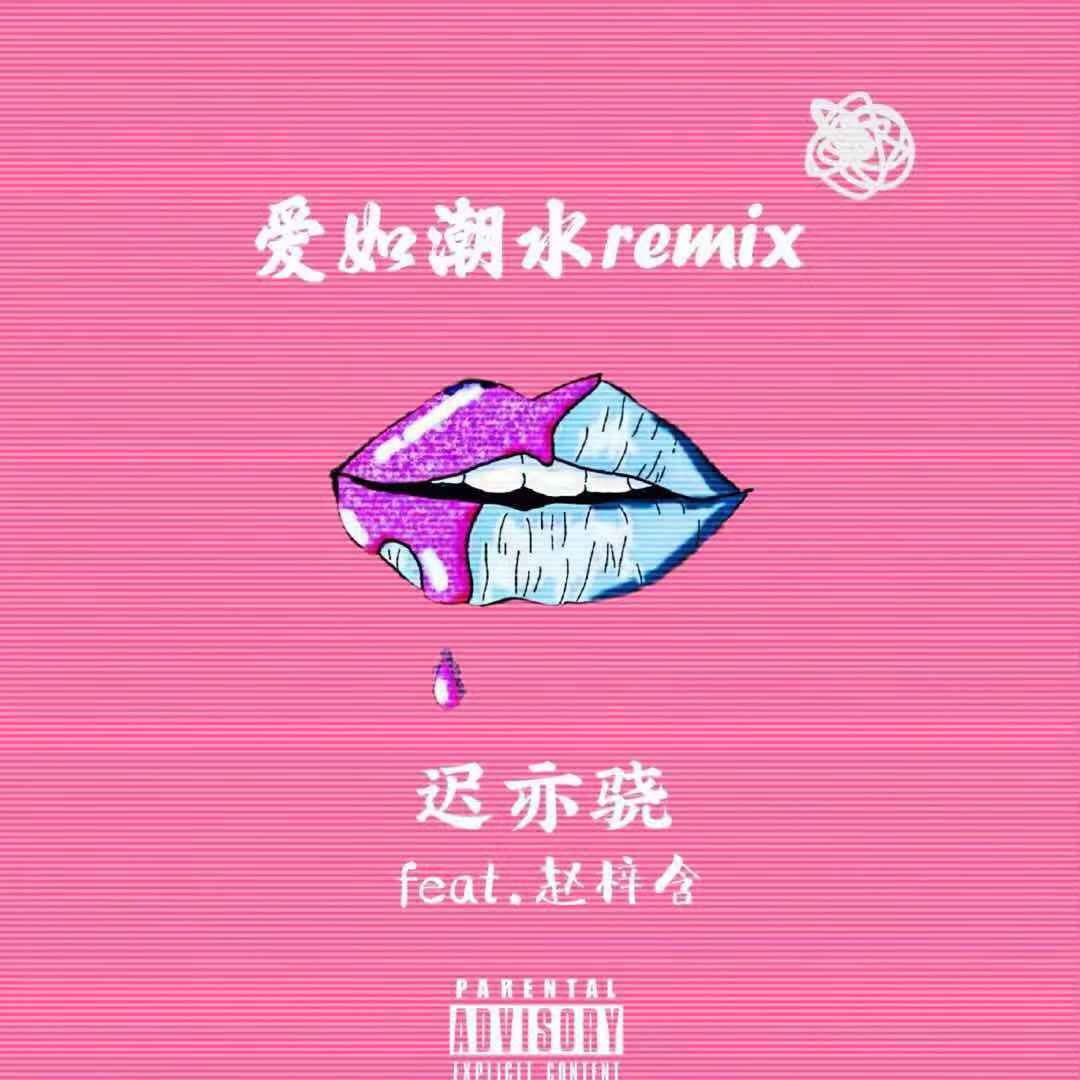 爱如潮水remix专辑