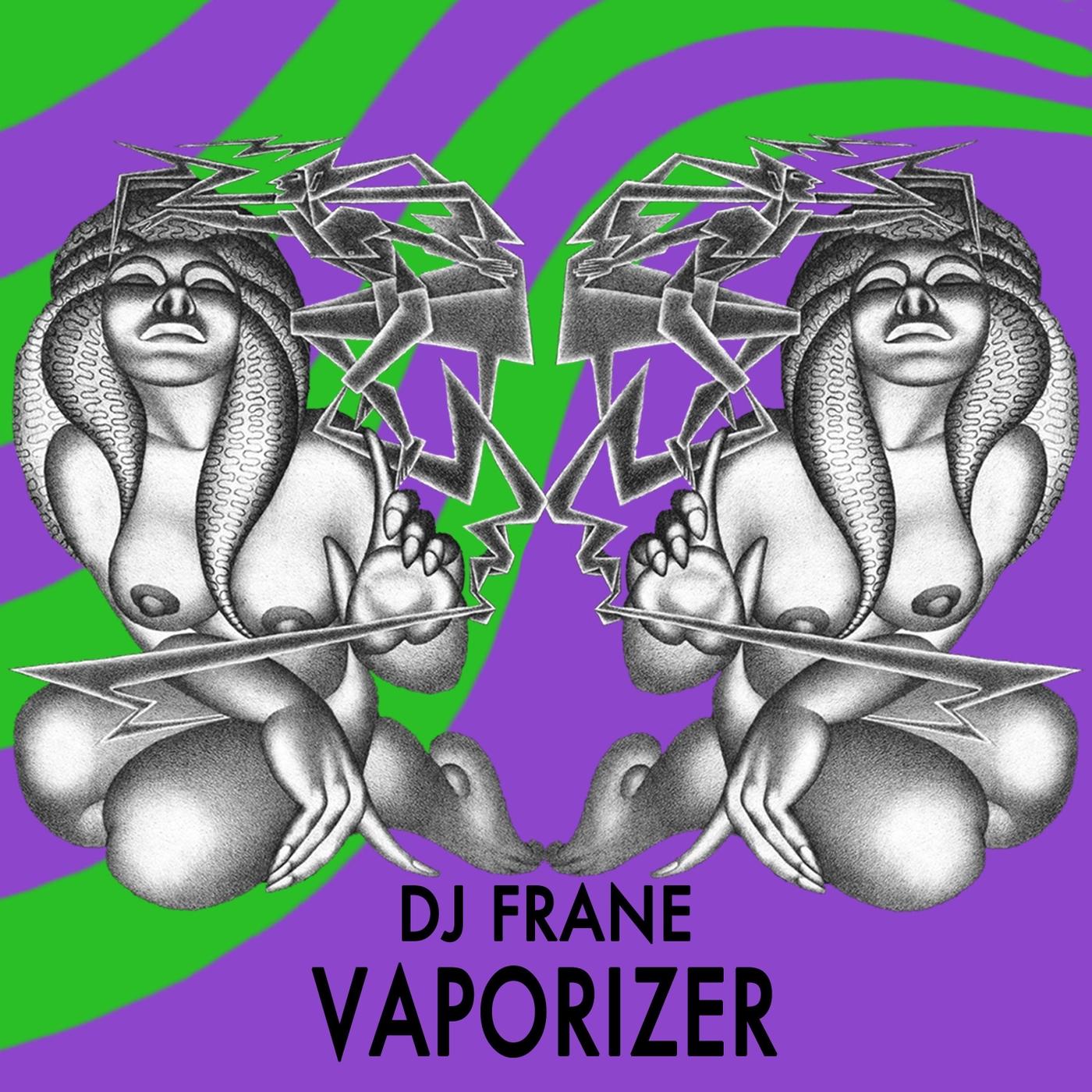 Vaporizer