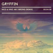 Am I Wrong (Gryffin Remix)