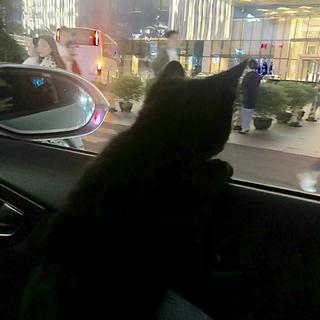 不 要 為 我 下 暴 雨