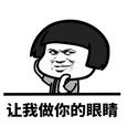 让我做你的眼睛