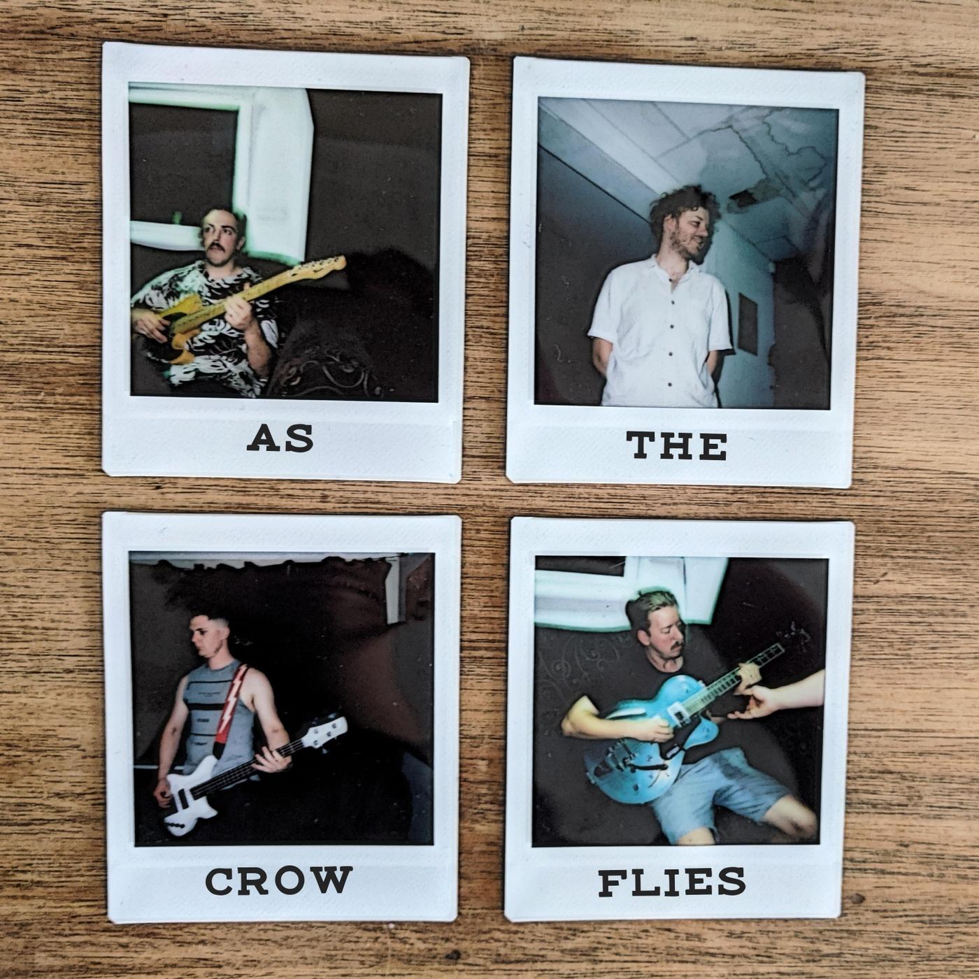 As the Crow Flies
