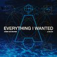 Everything I Wanted